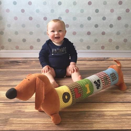 Personalized Dachshund Plush Toy - Customizable Handmade Baby Shower Gift, Sausage Dog Nursery Decor, Wiener Dog Plushie, Photography Prop