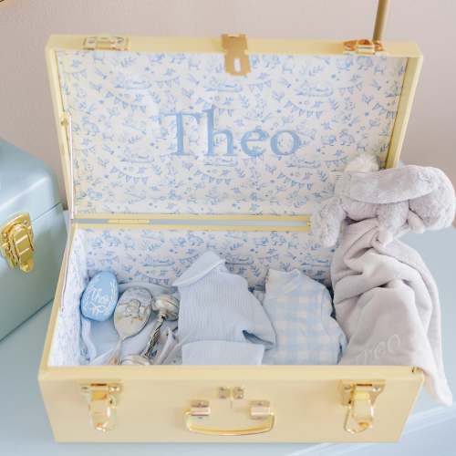 Mini Classic Trunk