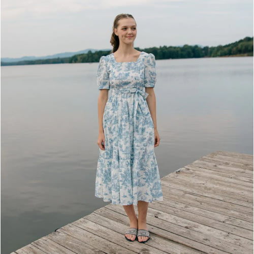 Versa Cotton Dress with Nursing Zippers in Vintage Blue Toile