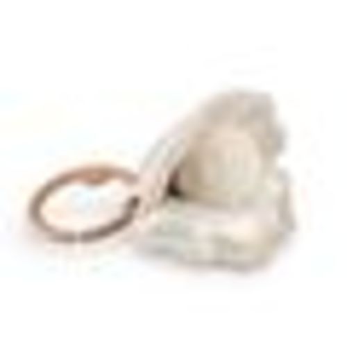 Oyster Rattle - Ivory