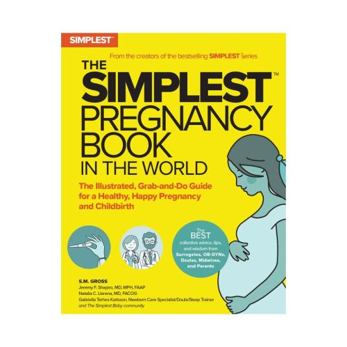 The Simplest Pregnancy Book in the World - by S M Gross (Paperback)