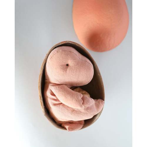 Maileg | Gantosaurus in Egg, Small - Old Rose – Playroom Collective