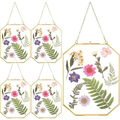 Treela 4 Pieces Hanging Glass Floating Frame Octagon Brass Herbarium Glass Frame Double Pressed Flower Frames for Plant Specimen Artwork Display Photo Dried Flowers DIY Decor (Gold,8 x 10 Inch)