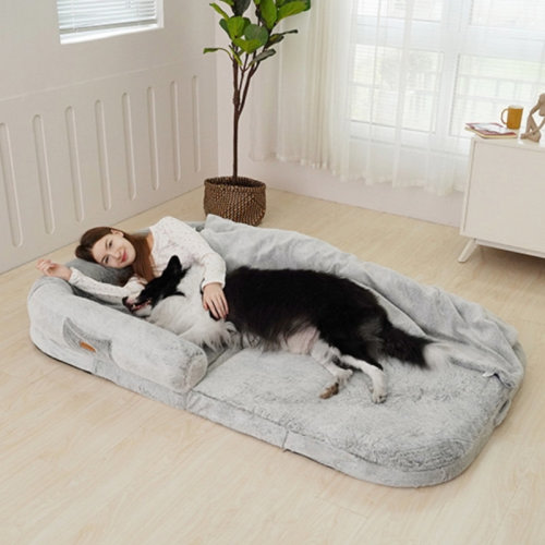 Archie & Oscar™ Kristine Foldable Dog Bolster Bed For Pets & Humans with Blanket included & Reviews | Wayfair