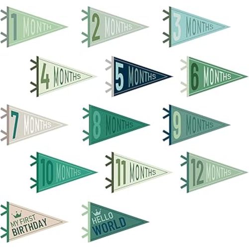 14 Pcs Baby Milestone Pennant Signs Monthly Milestone Banner Flags Pennant Triangle Banner Age Flag Signs for Boy Girl Newborn Birthday Party Decor (Morandi)