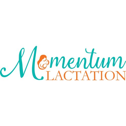 Postpartum Survival Guide Class — Momentum Lactation