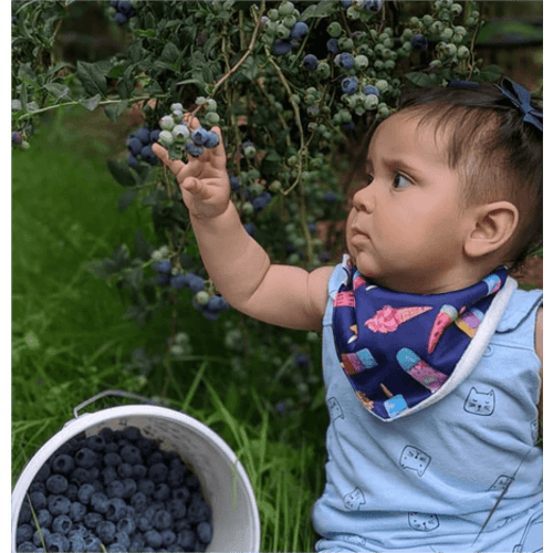 Reversible Bandana Bib