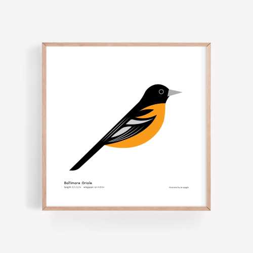 Baltimore Oriole | Modern Minimalist Bird Illustration | Giclée Print | Spiggle Studio