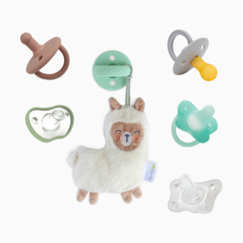 Babylist Pacifier Box