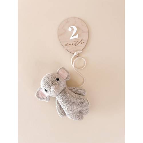 Balloon Milestone Markers Baby Monthly Milestone Signs - Etsy