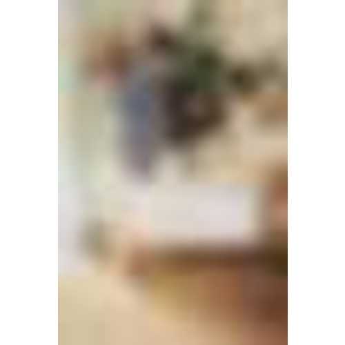 BabyBjörn Baby Cradle