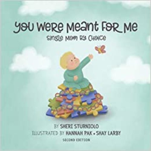 Amazon.com: You Were Meant For Me: Single Mom By Choice: 9781735470337: Sturniolo, Sheri, Pak, Hannah, Larby, Shay: Books