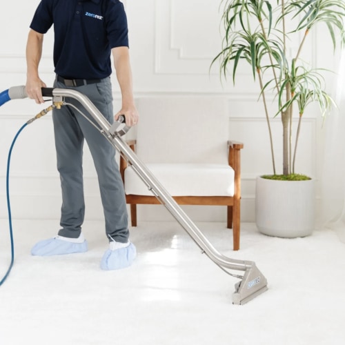 Carpet Cleaning | Zerorez Carpet Cleaning