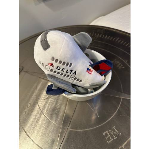 The Delta Pillow Plane