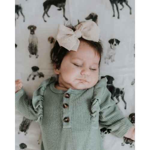 German Shorthaired Pointer - Swaddle