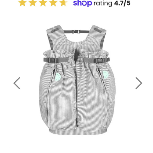 The Weego TWIN Baby Carrier