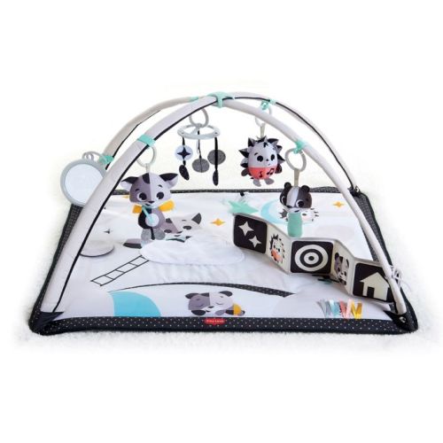 Tiny Love® Magical Tales™ Black & White Gymini
