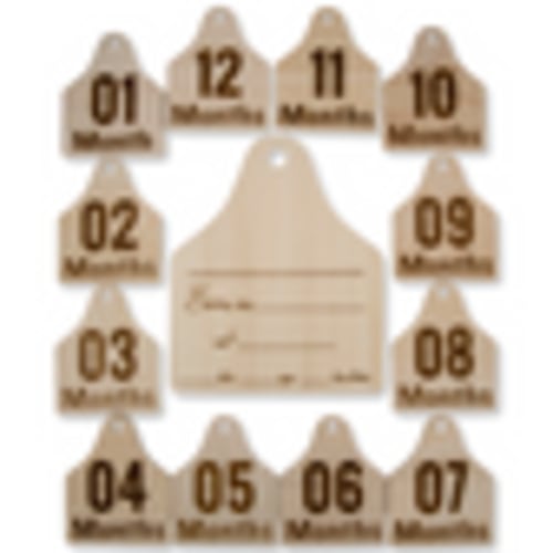 Cattle Tag Wood Announcement Sign & 12 Milestone Signs – Cowkid Clothing Company