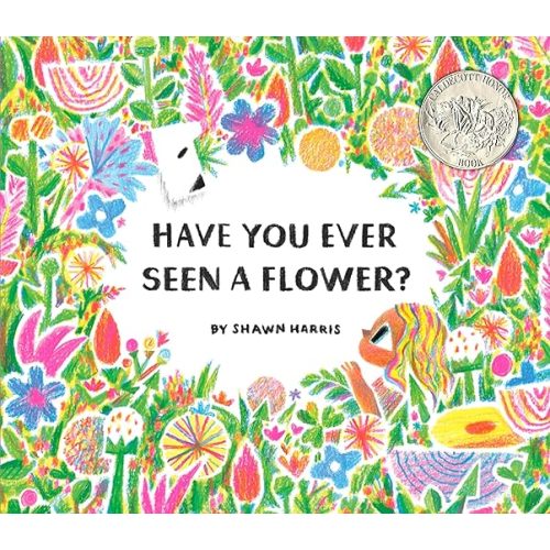 Have You Ever Seen a Flower?
