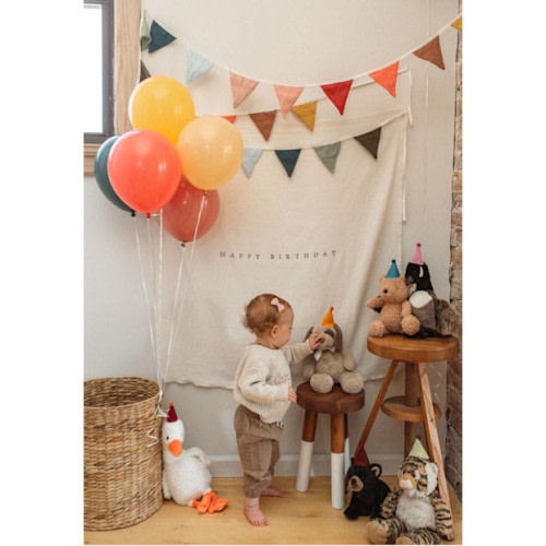 NovaEventCo Custom Birthday Banner