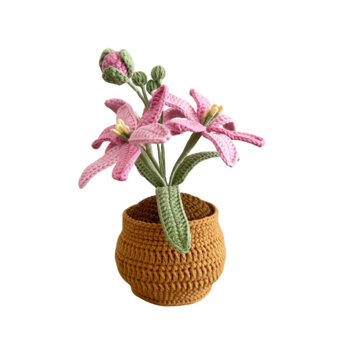 Pink Martian Orchid Pot Plant
