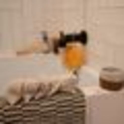 postpartum herbal sitz bath