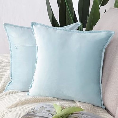 MADIZZ Set of 2 Super Soft Velvet Decorative Throw Pillow Covers 20x20 inch Light Blue Square with Fringe Luxury Style Cushion Case Pillow Shell for Sofa Bedroom