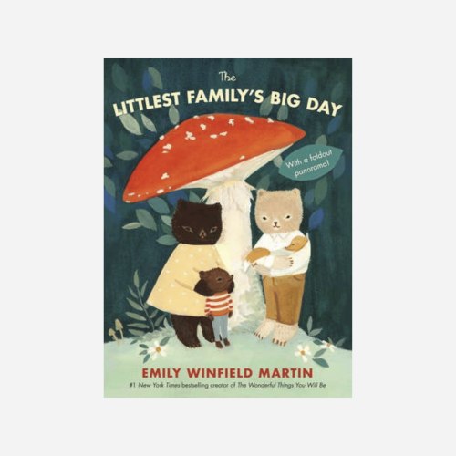 The Littlest Family's Big Day by Emily Winfield Martin