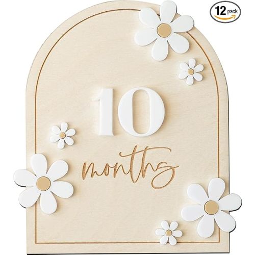 Daisy 3D Baby Monthly Milestone, Wooden Baby Milestone Signs, Monthly Milestone Wood Discs, Baby Milestone Discs (Daisy)