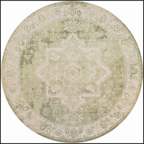 Nourison Astra Machine Washable Vintage Medallion Indoor Flatweave Rug
