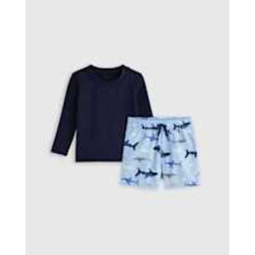 Swim Trunk and Rash Guard Set