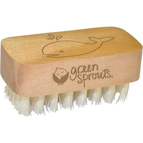 green sprouts Baby Nail Brush, Gently Cleans Baby’s Nails, Soft, Natural bristles for Comfort, Easy to Grasp Wood Handle, Made from Natural, Non-Petroleum Materials
