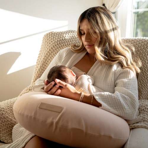 Butterr Nursing Pillow in Blush