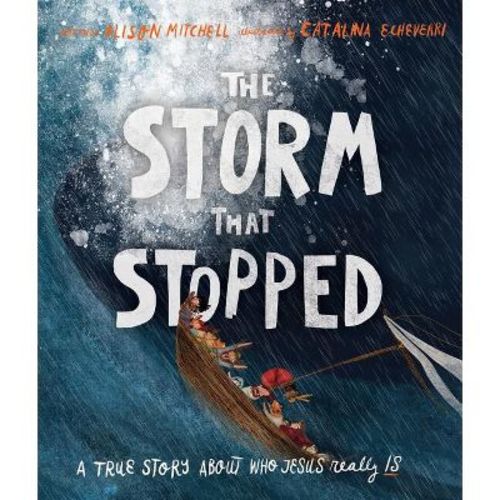 The Storm That Stopped Storybook - (tales That Tell The Truth) By Alison Mitchell (hardcover)