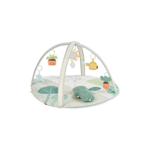 Garden Oasis Activity Gym