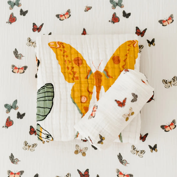 Butterfly Essential Bundle