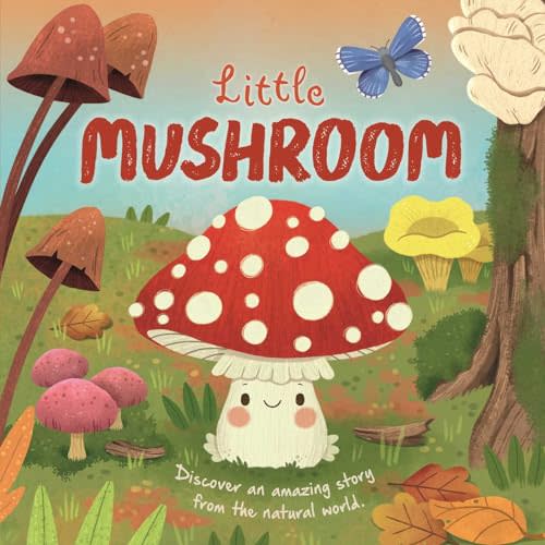 Nature Stories: Little Mushroom-Discover an Amazing Story from the Natural World: Padded Board Book