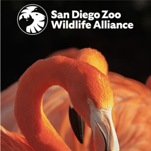 SD Wildlife Zoo Adult Memberships
