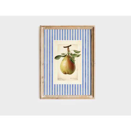 Vintage Pear Drawing, Vintage Inspired Striped Fruit Art Print, Cottagecore, Antique Art Nancy Meyers, Striped Vintage Art, Modern Farmhouse