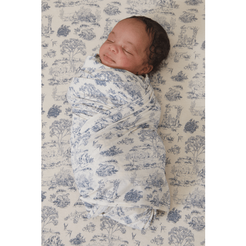 Bleu Toile Swaddle