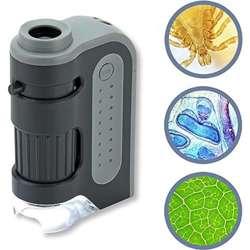 Carson MicroBrite Plus 60x-120x LED Lighted Pocket Microscope, Portable Handheld Microscope for Adults, Mini Microscope for Student Science Lab, STEM Educational Portable Microscope (MM-300)