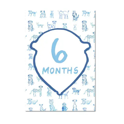 Baby Milestone Cards: Blue + Green Set (Restocking Summer 2025)