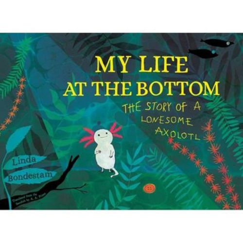 My Life At The Bottom - By Linda Bondestam (hardcover)