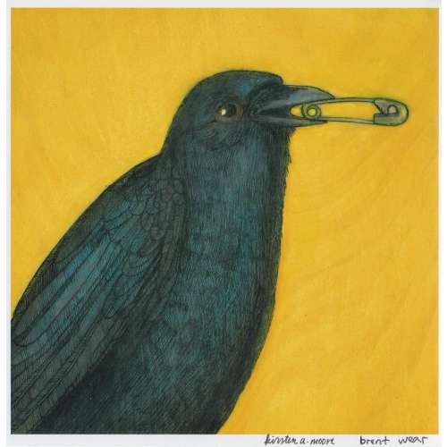 Crow Holds a Safety Pin in its Beak 8 x 8 Crow Art PRINT no. 42 C-print
