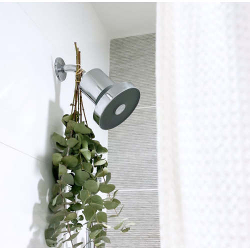 The Jolie Filtered Showerhead