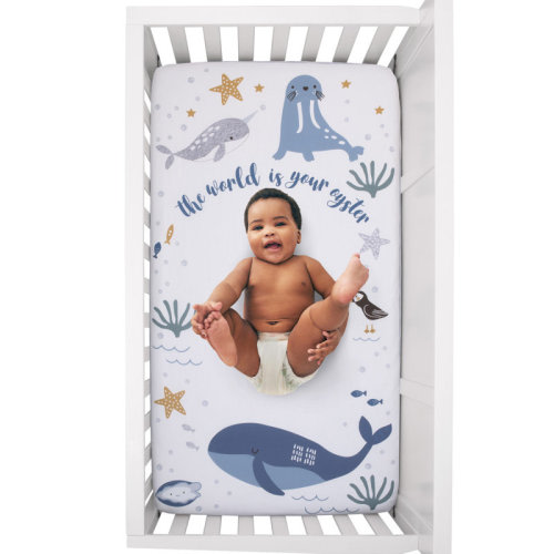 Sunside Sails Arctic Adventure Light 100% Cotton Photo Op Fitted Crib Sheet | Wayfair
