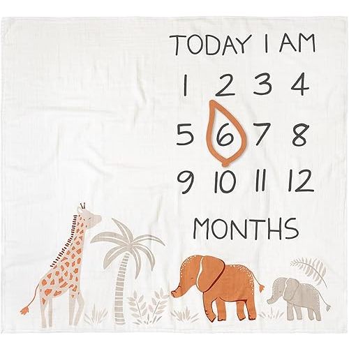 Modern Moments by Gerber Muslin Milestone Blanket with Felt Month Marker Frame