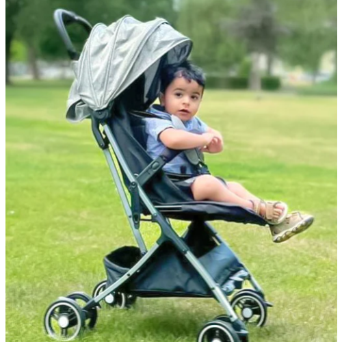 The Stroller Fund: Goal $800