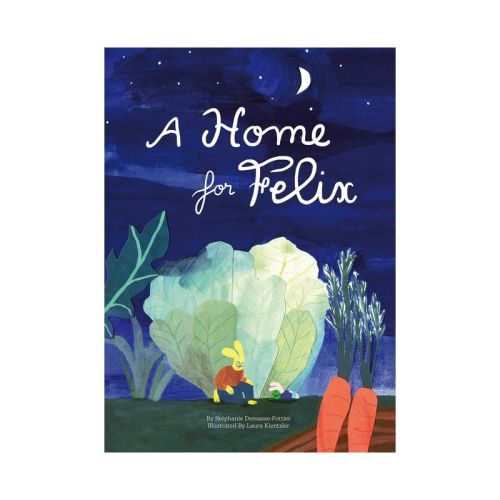 A Home For Felix - By Stephanie Demasse-pottier (hardcover)