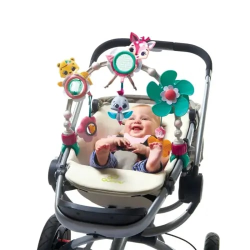 Baby Bunting AU Tiny Love Princess Tales Sunny Stroll Arch